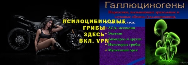 гидропоника Новодвинск