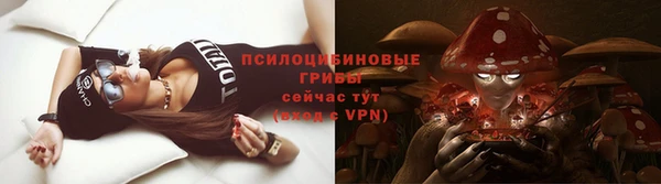ПСИЛОЦИБИНОВЫЕ ГРИБЫ Алзамай