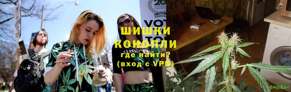 ПСИЛОЦИБИНОВЫЕ ГРИБЫ Алзамай