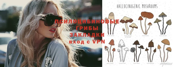 кокс Алексин