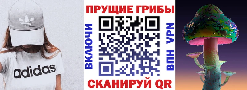 Галлюциногенные грибы MAGIC MUSHROOMS  KRAKEN ТОР  Ливны 