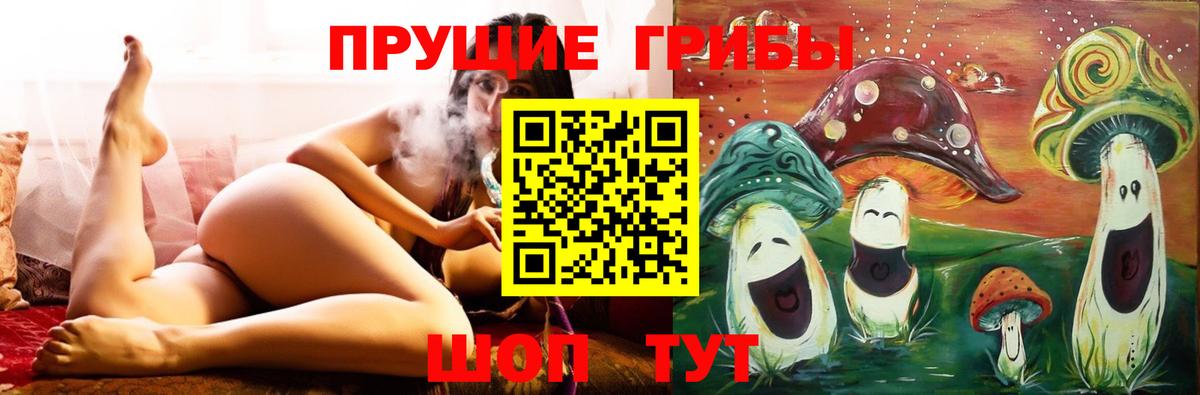 Псилоцибиновые грибы прущие грибы Ливны