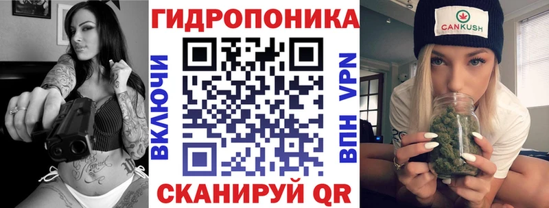 Бошки марихуана сатива Ливны
